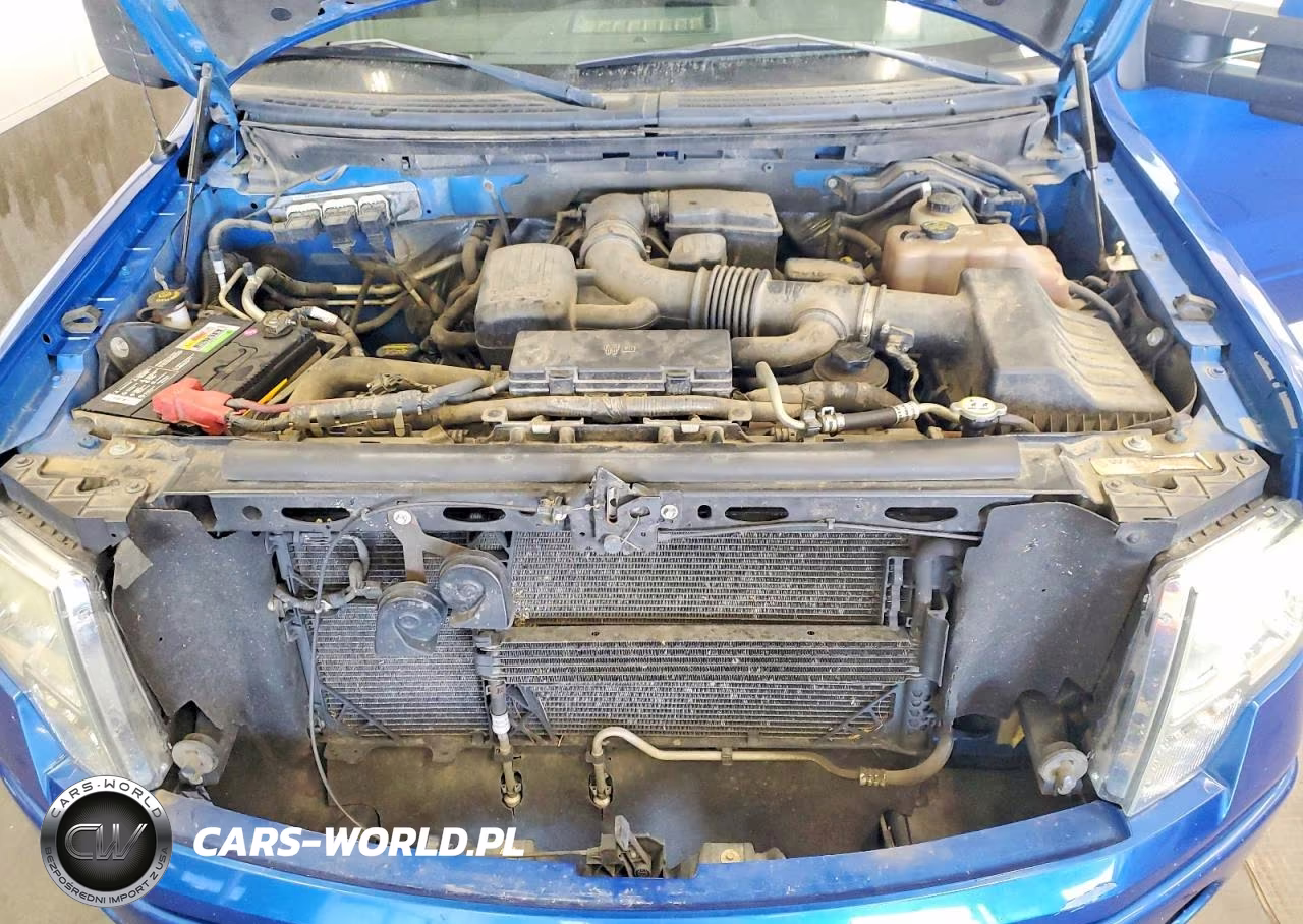 2010 Ford F150 Supercrew VIN:1FTFW1EV0AFC17100 - 11