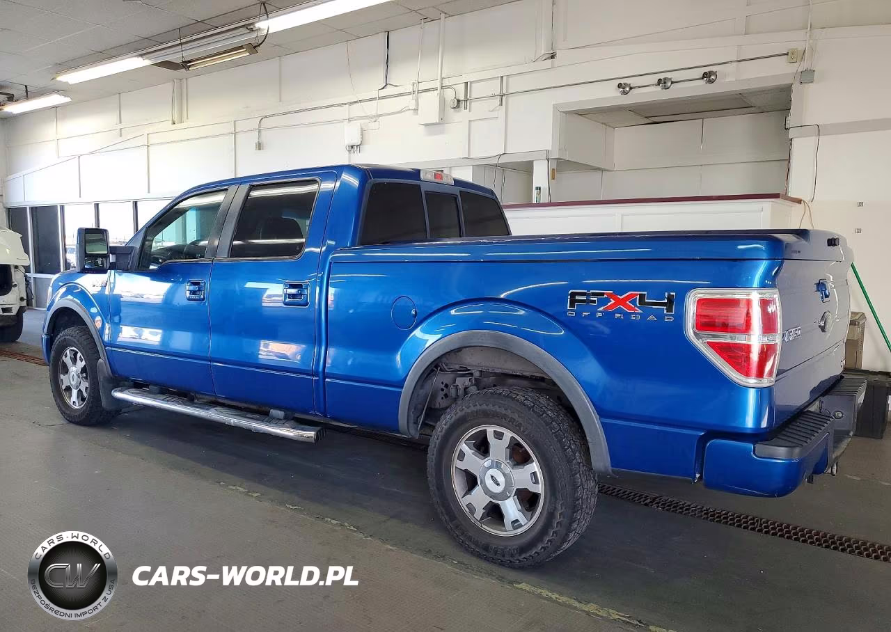 2010 Ford F150 Supercrew VIN:1FTFW1EV0AFC17100 - 2