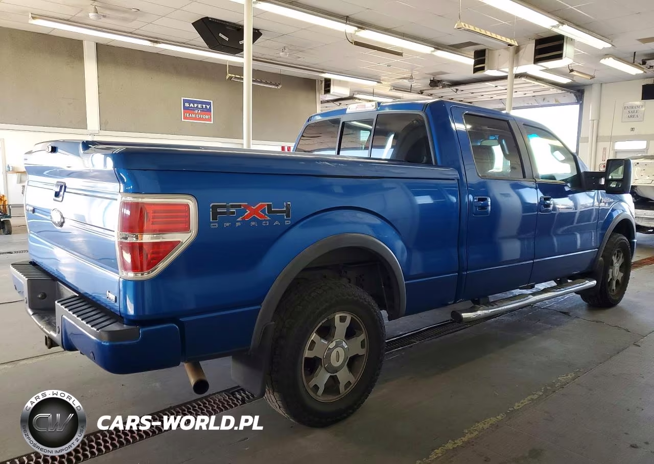 2010 Ford F150 Supercrew VIN:1FTFW1EV0AFC17100 - 3