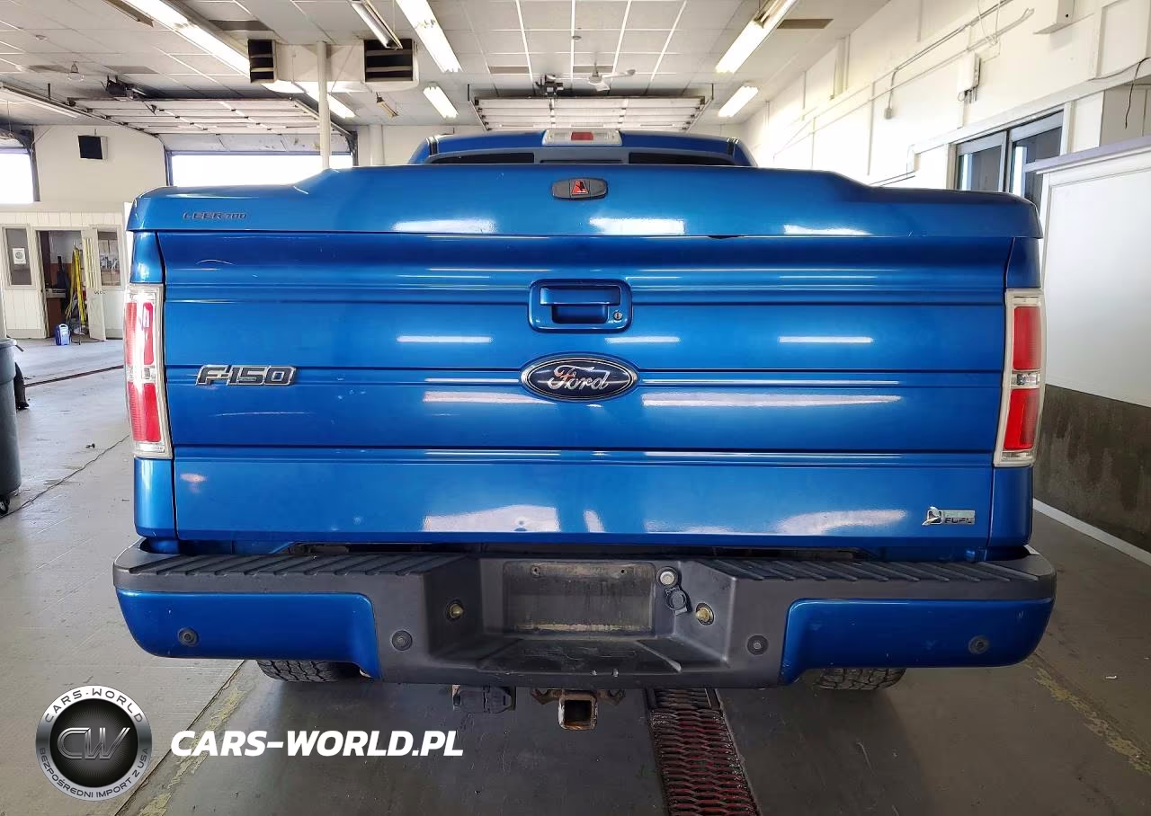 2010 Ford F150 Supercrew VIN:1FTFW1EV0AFC17100 - 6