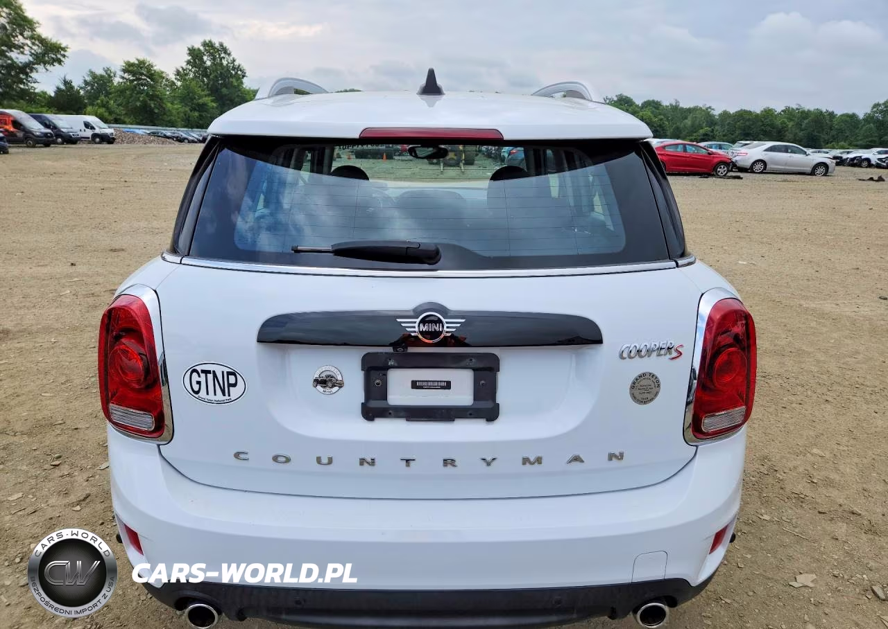 2020 Mini Cooper S Countryman All4 VIN:WMZYX1C06L3L43088 - 6