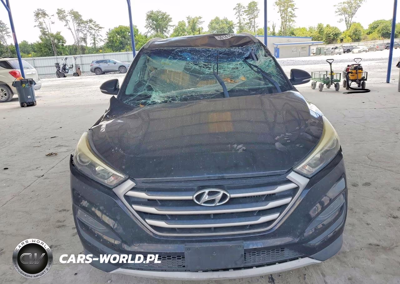 2017 Hyundai Tucson Sport VIN:KM8J33A28HU326562 - 5