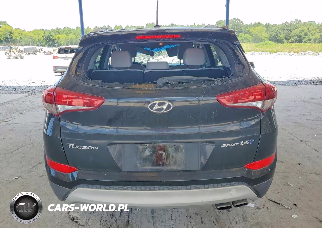 2017 Hyundai Tucson Sport VIN:KM8J33A28HU326562 - 6