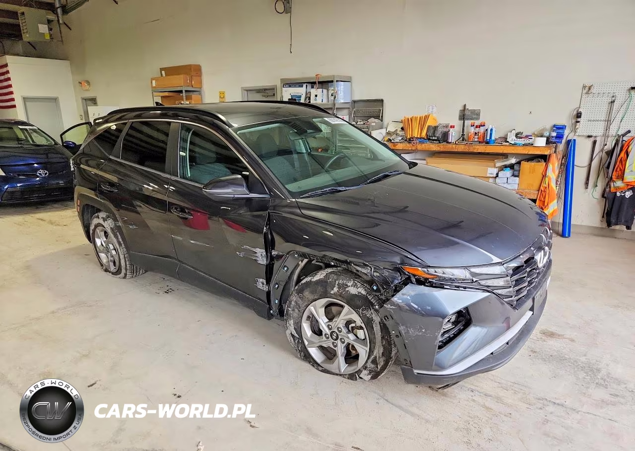 2022 Hyundai Tucson Sel VIN:5NMJBCAE9NH011533 - 4