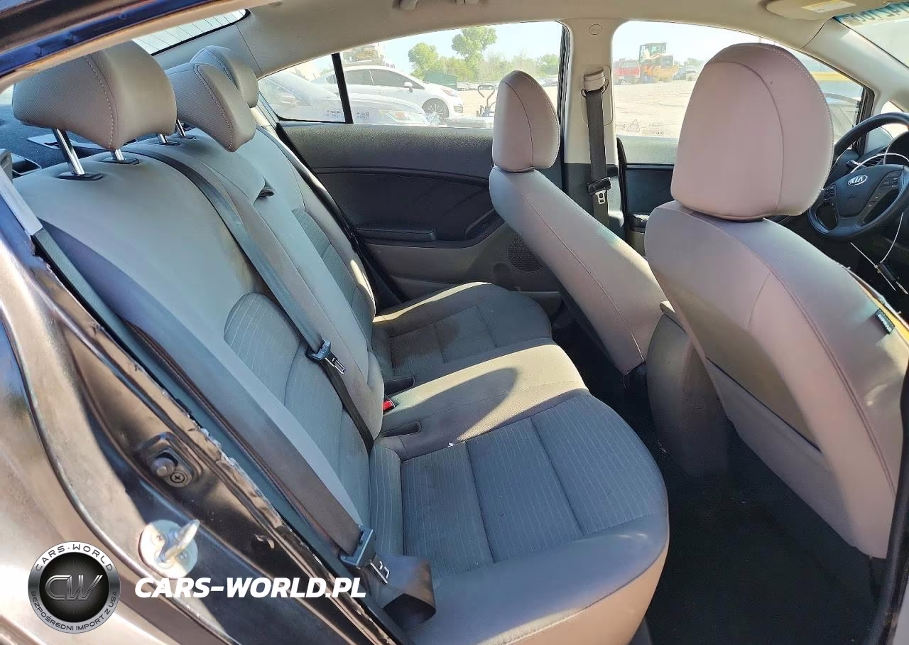 2016 Kia Forte Lx VIN:KNAFX4A64G5455024 - 10