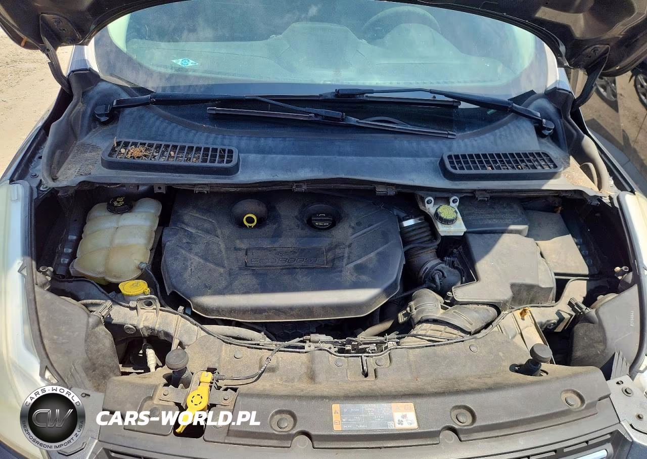 2015 Ford Escape Se VIN:1FMCU9G9XFUB97346 - 12