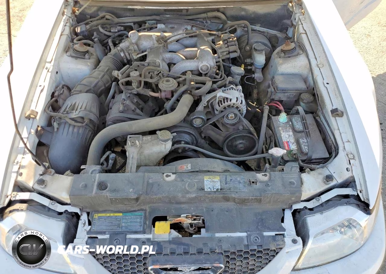 2004 Ford Mustang VIN:1FAFP44494F110208 - 11