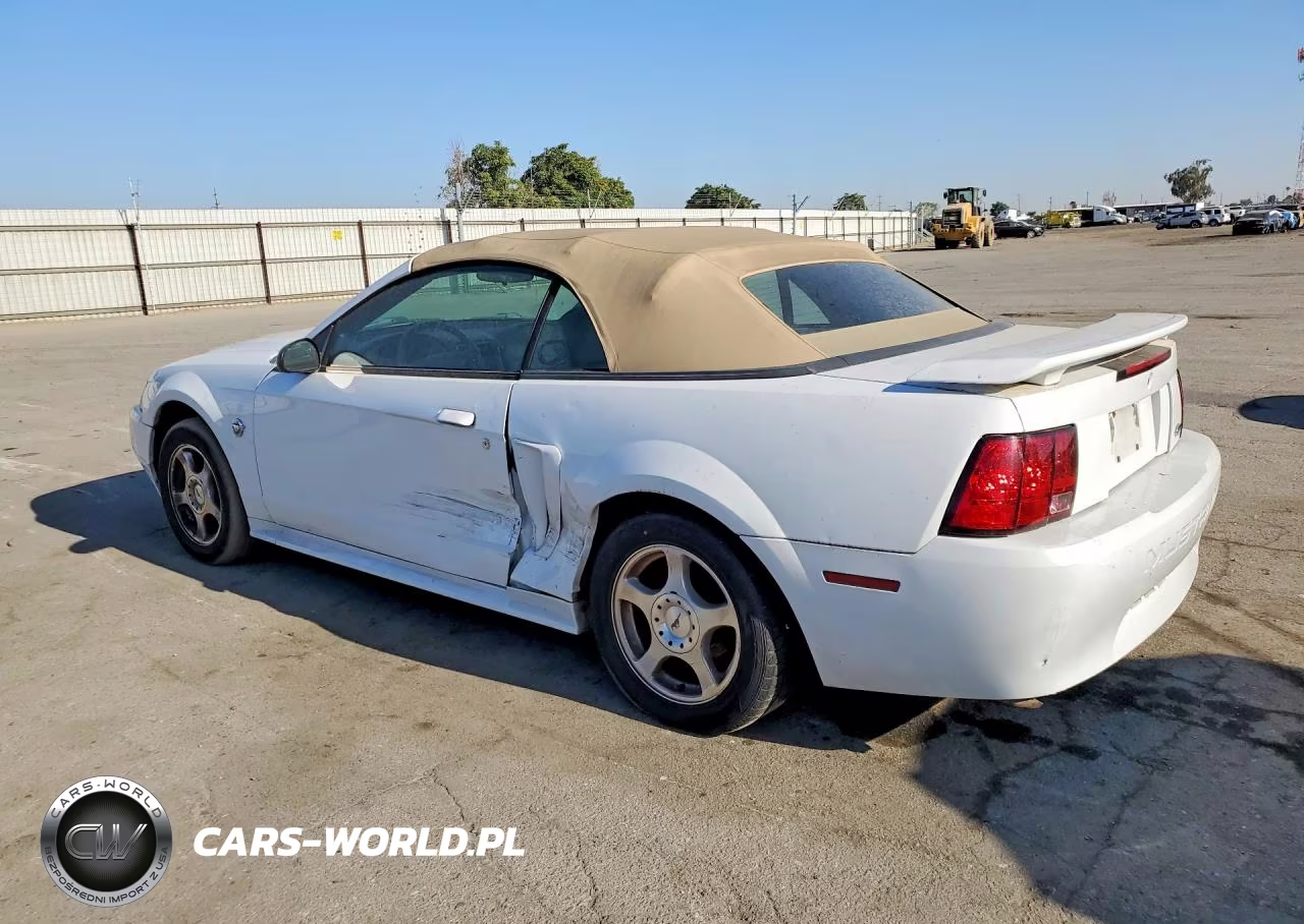 2004 Ford Mustang VIN:1FAFP44494F110208 - 2