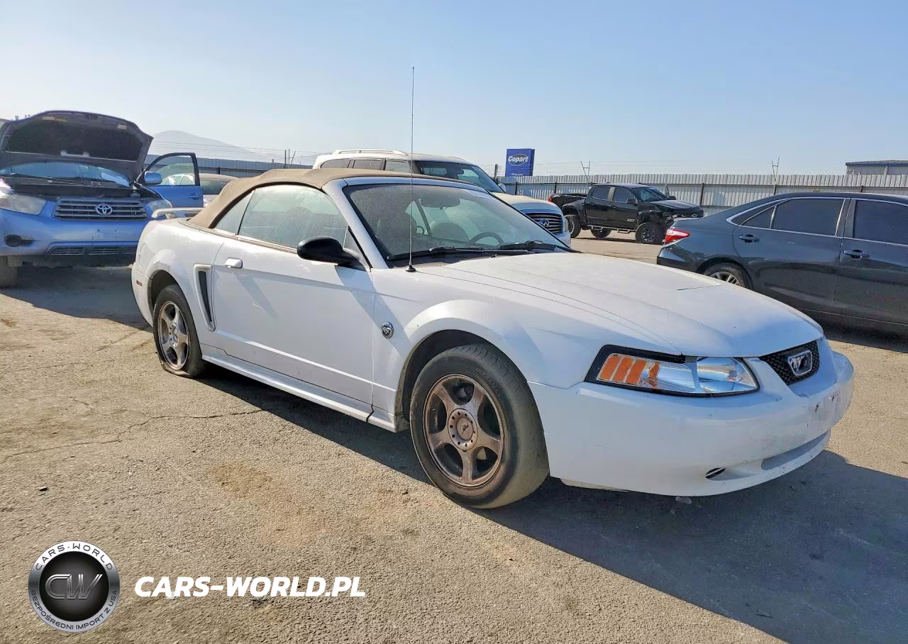 2004 Ford Mustang VIN:1FAFP44494F110208 - 4