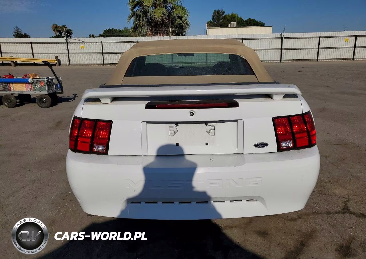 2004 Ford Mustang VIN:1FAFP44494F110208 - 6