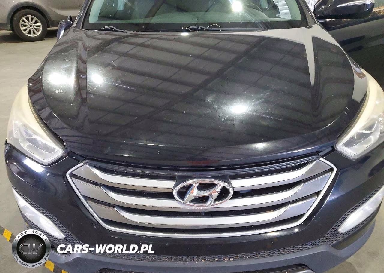 2016 Hyundai Santa Fe Sport 2.0T VIN:5XYZW4LA5GG346485 - 12