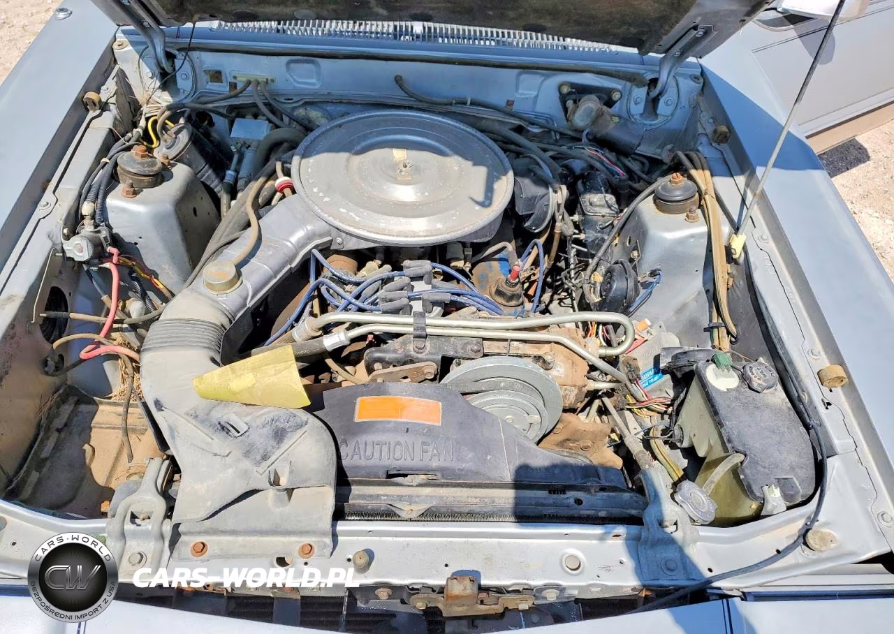 1980 Ford Thunderbird VIN:0H87F132382 - 11