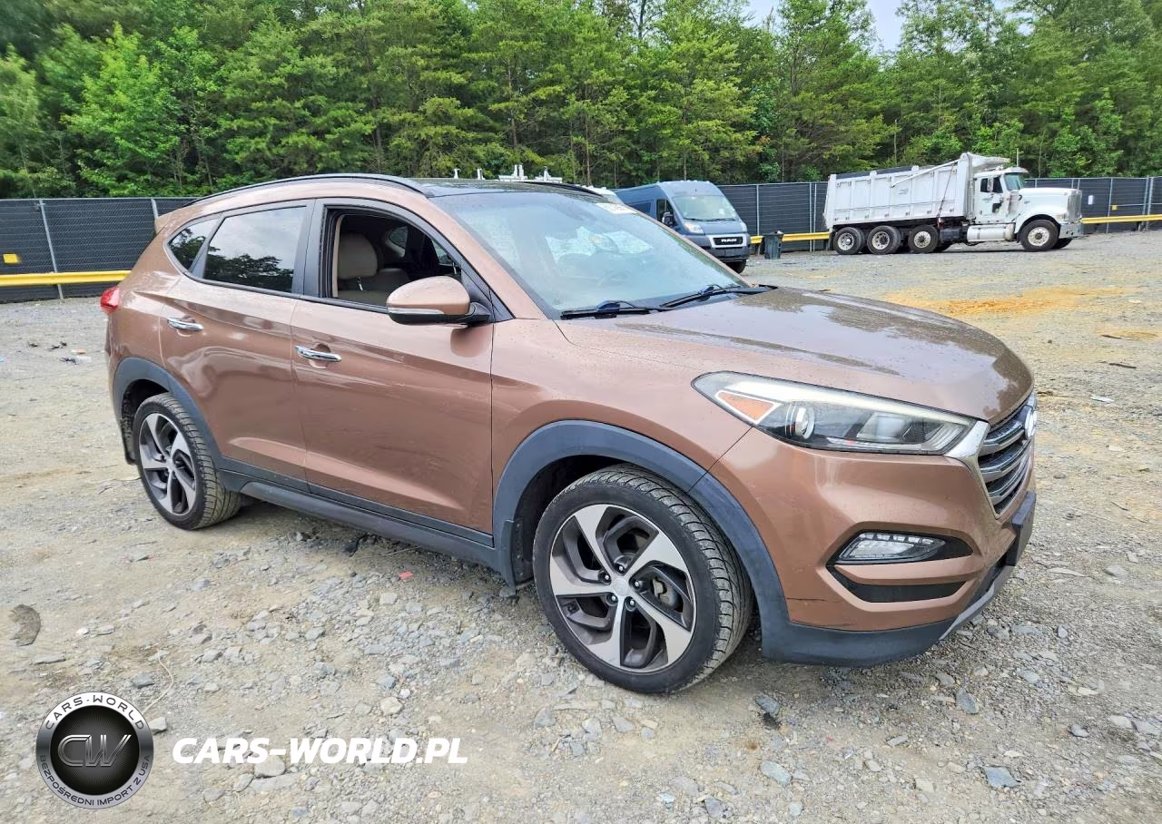 2016 Hyundai Tucson Limited VIN:KM8J3CA22GU041905 - 4