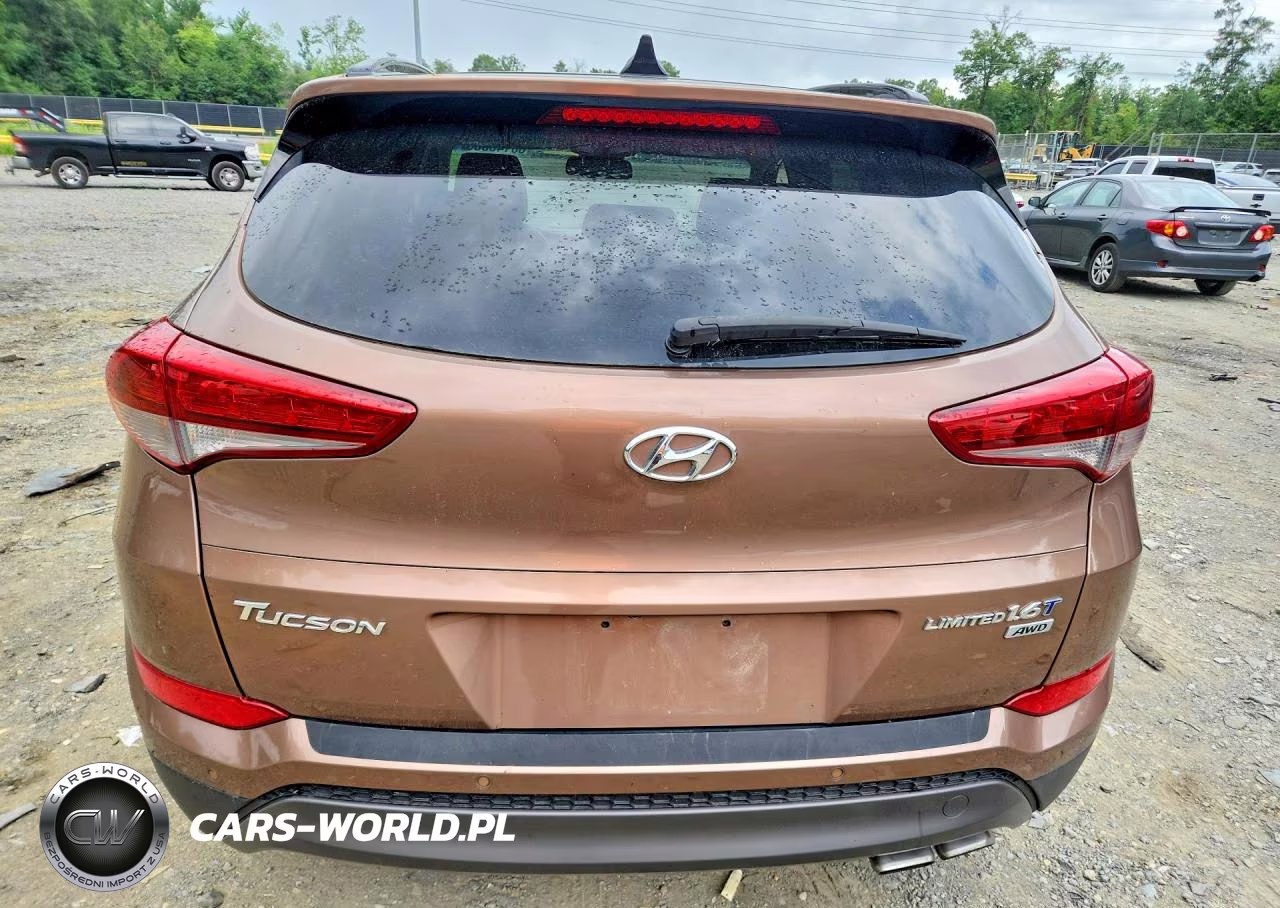 2016 Hyundai Tucson Limited VIN:KM8J3CA22GU041905 - 6