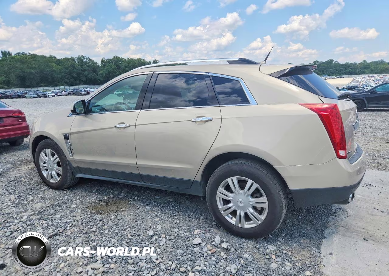 2010 Cadillac Srx Luxury Collection VIN:3GYFNDEY2AS647831 - 2