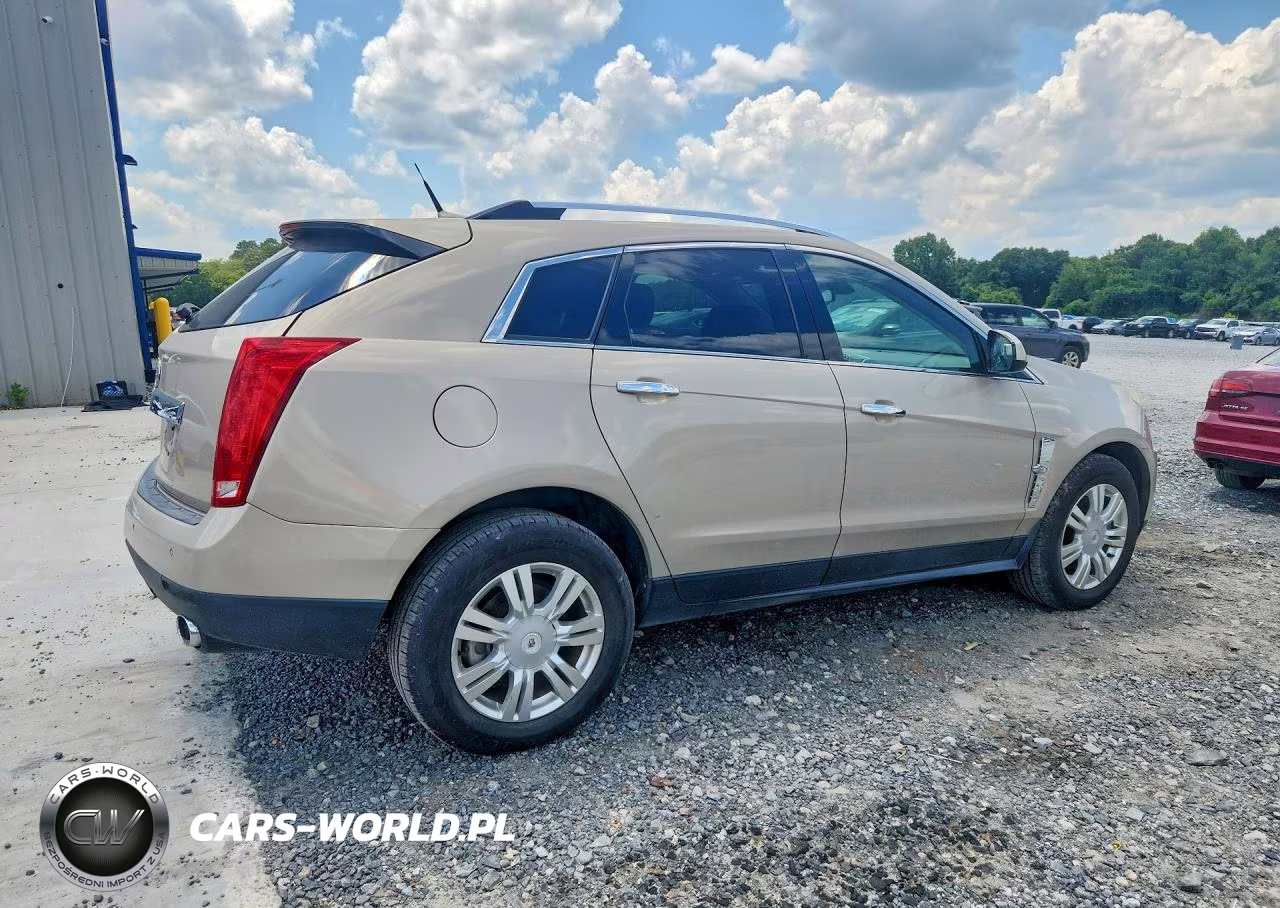2010 Cadillac Srx Luxury Collection VIN:3GYFNDEY2AS647831 - 3