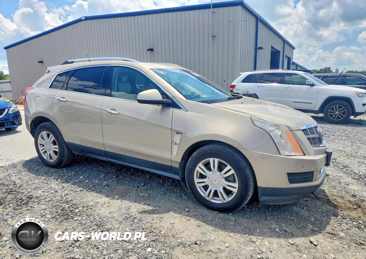 2010 Cadillac Srx Luxury Collection VIN:3GYFNDEY2AS647831 - 4
