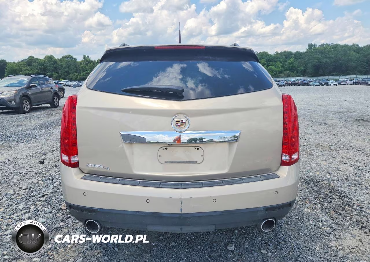 2010 Cadillac Srx Luxury Collection VIN:3GYFNDEY2AS647831 - 6