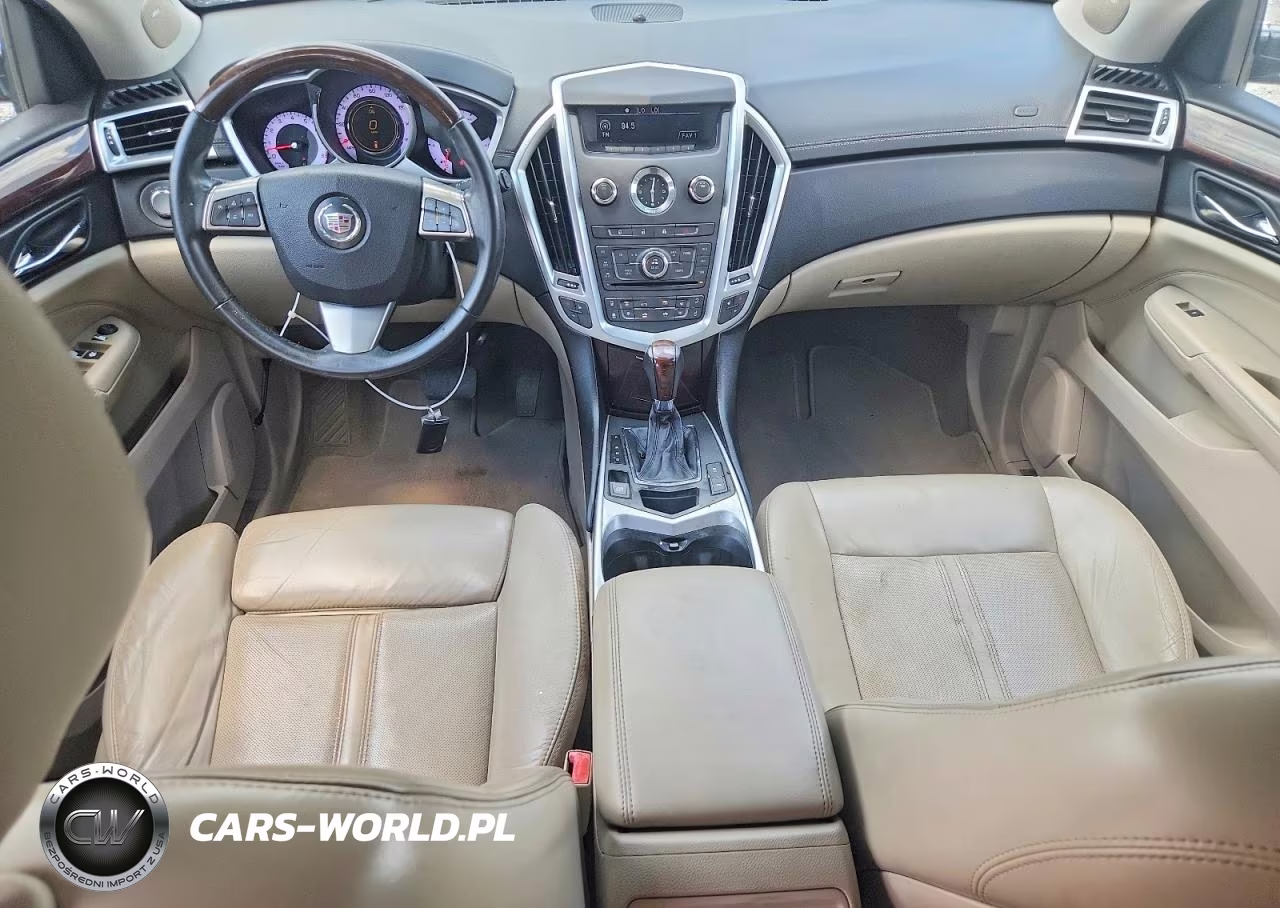 2010 Cadillac Srx Luxury Collection VIN:3GYFNDEY2AS647831 - 8