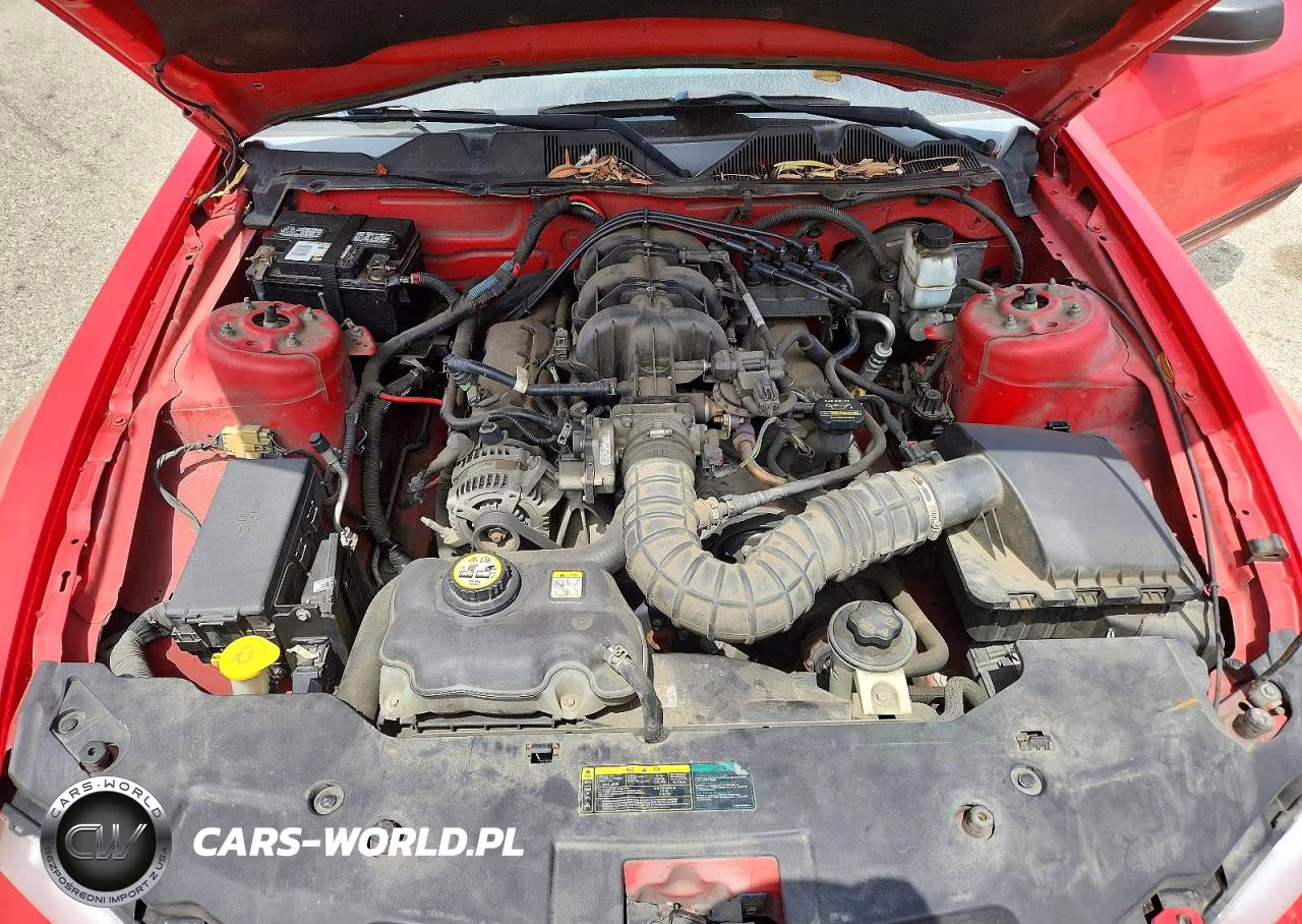 2010 Ford Mustang VIN:1ZVBP8EN0A5116680 - 11