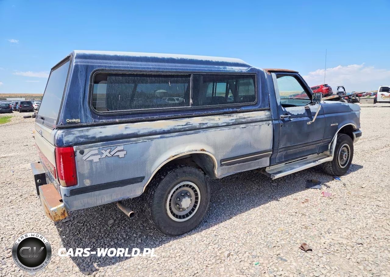 1991 Ford F250 VIN:1FTEF26N2MPB24254 - 3