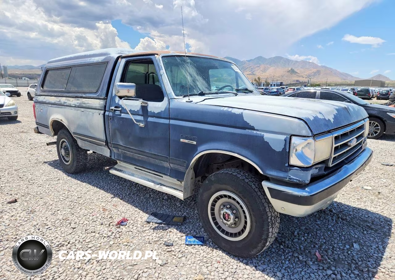1991 Ford F250 VIN:1FTEF26N2MPB24254 - 4