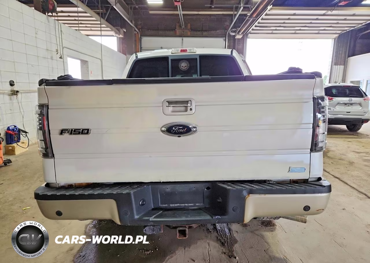2010 Ford F150 Supercrew VIN:1FTFW1EV1AFB83958 - 6