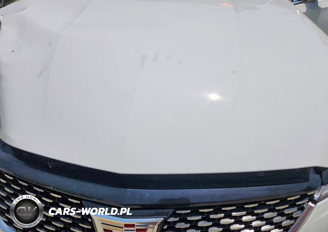 2020 Cadillac Ct4 Luxury VIN:1G6DK5RK0L0148931 - 11