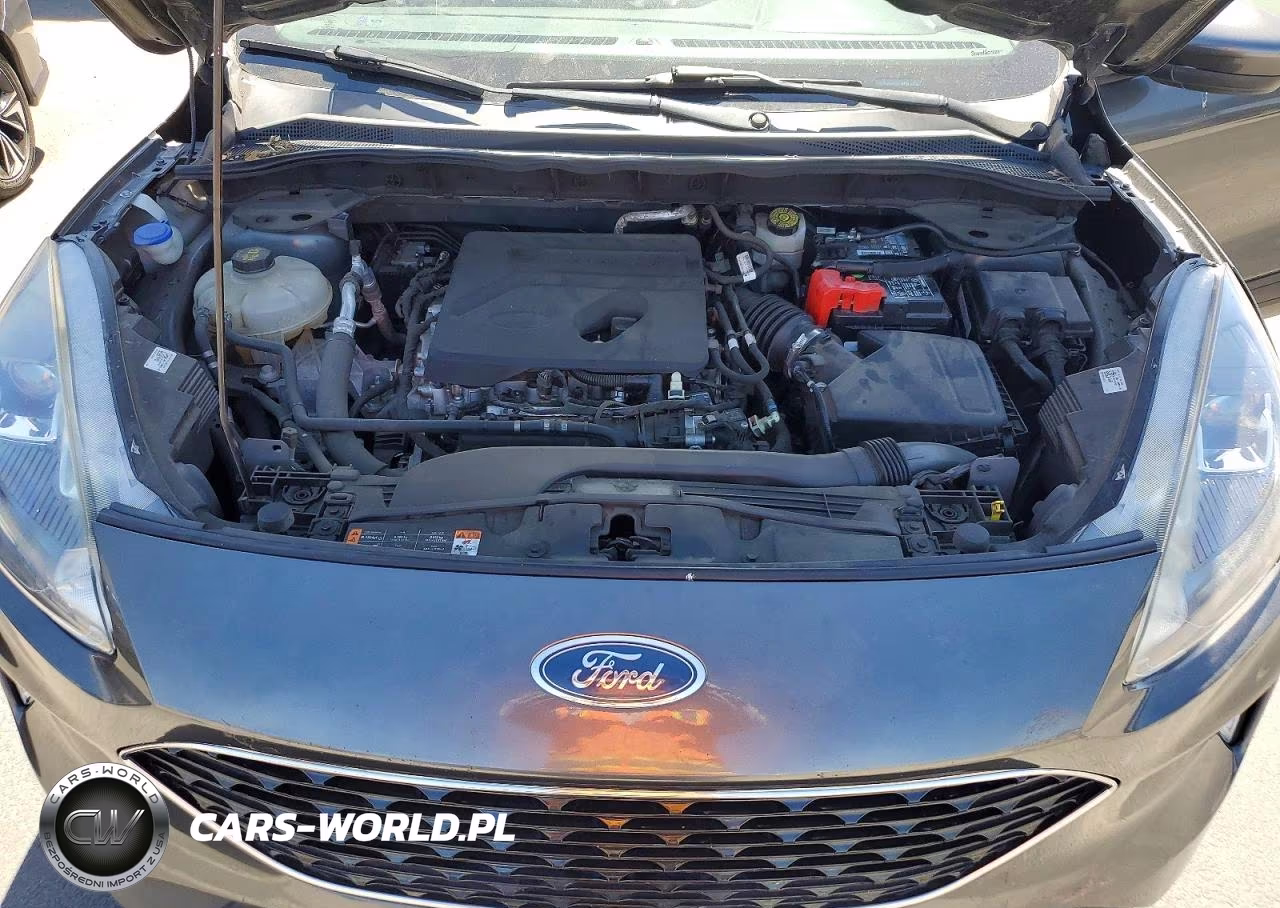 2020 Ford Escape Sel VIN:1FMCU0H63LUB18143 - 12