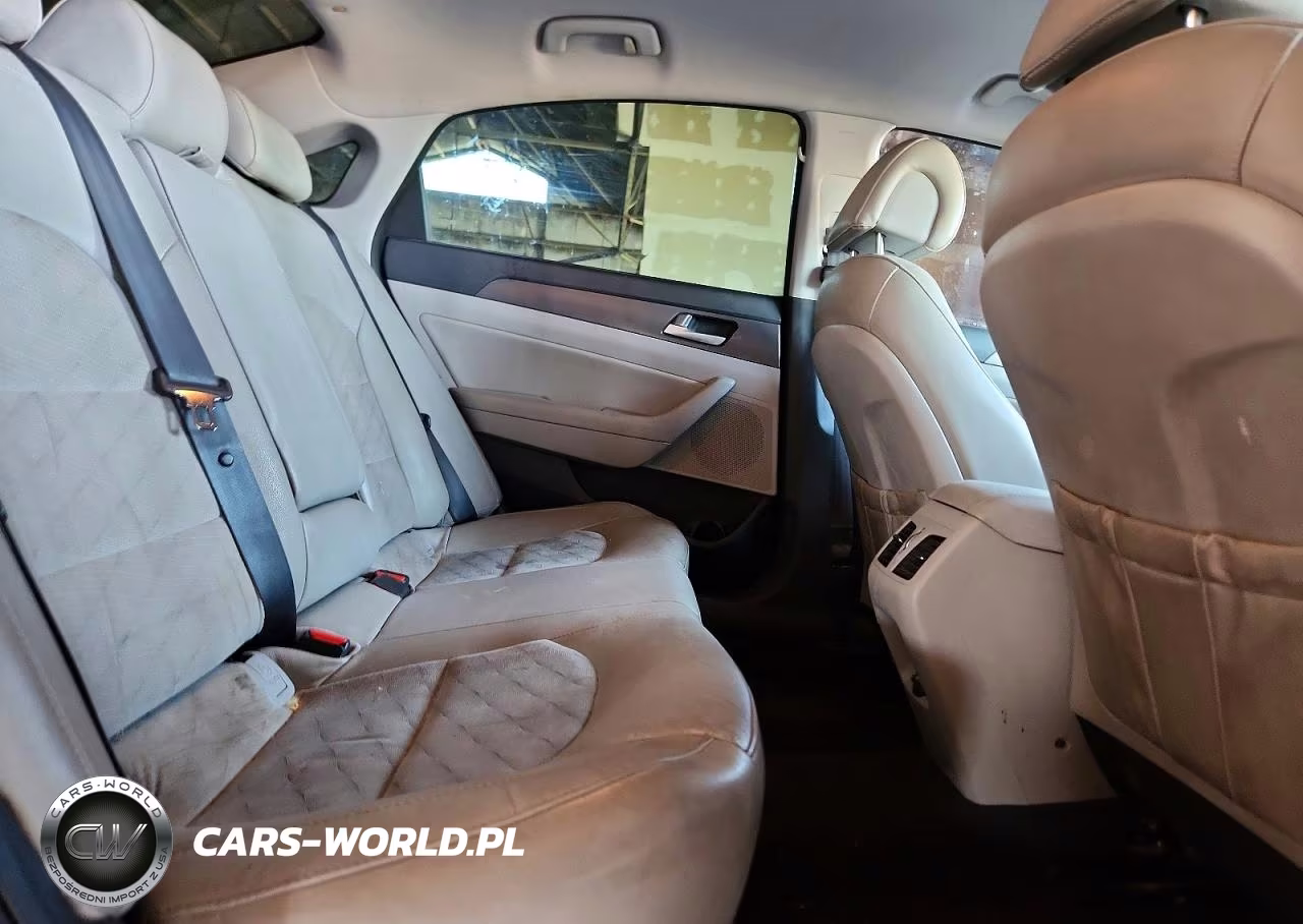 2016 Hyundai Sonata Sport VIN:5NPE34AF1GH419821 - 10