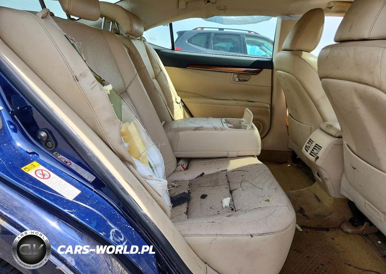 2013 Lexus Es 300H VIN:JTHBW1GG2D2031193 - 10