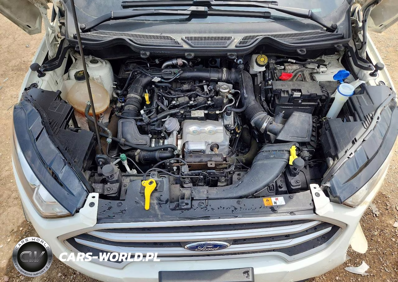 2021 Ford Ecosport Se VIN:MAJ3S2GE6MC408579 - 11