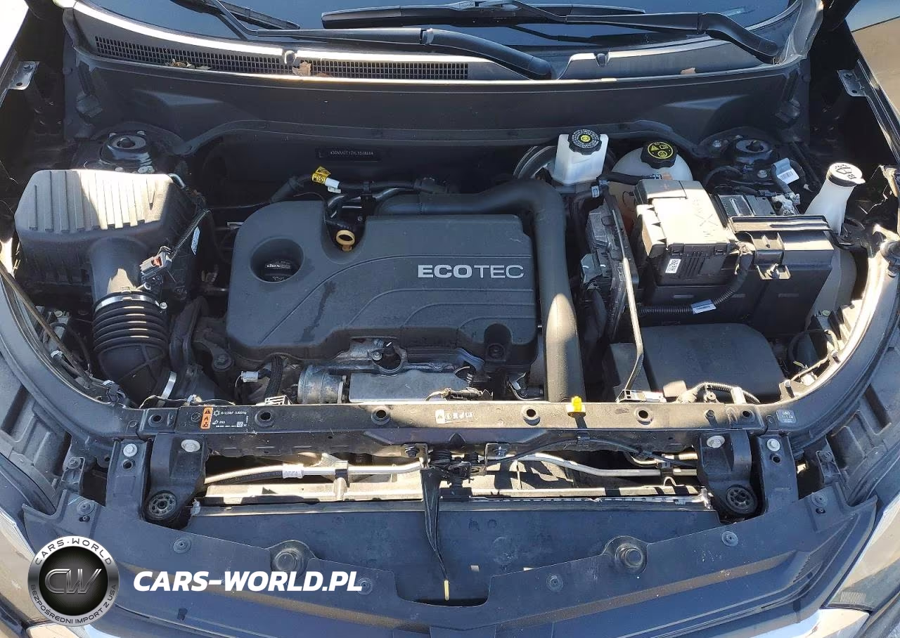 2019 Chevrolet Equinox Lt VIN:3GNAXJEV7KL337868 - 12