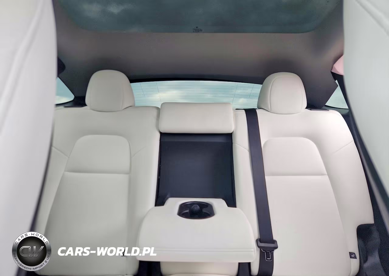 2025 Tesla Model Y VIN:7SAYGDEE7SF300927 - 10