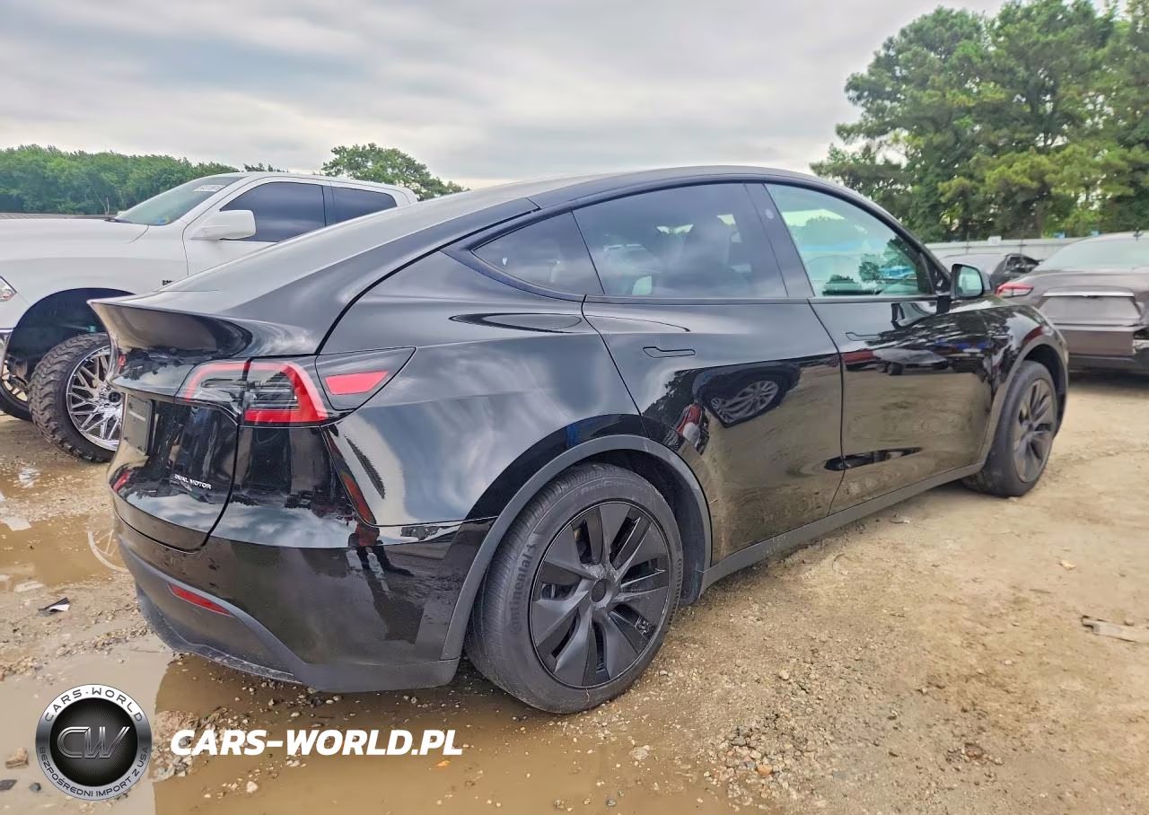 2025 Tesla Model Y VIN:7SAYGDEE7SF300927 - 3