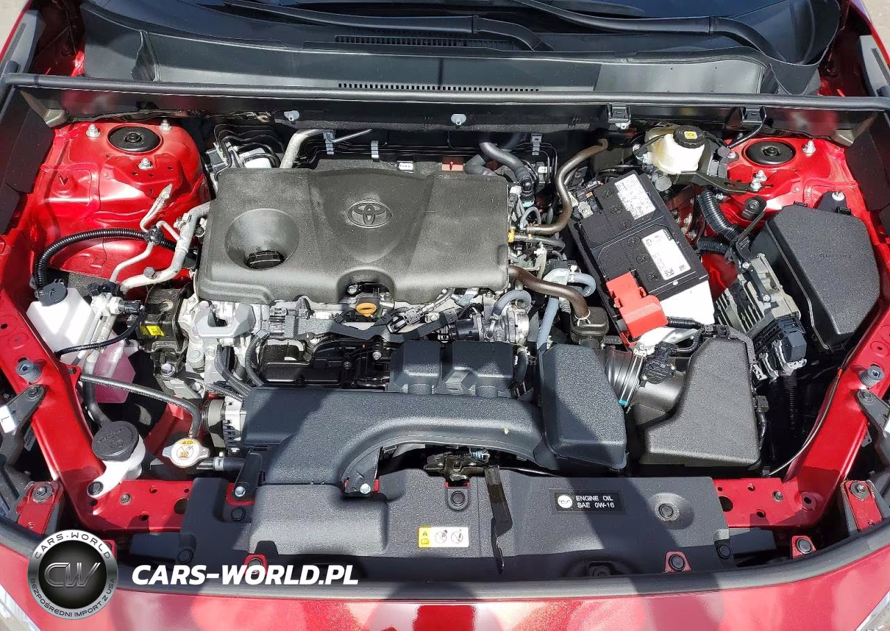 2025 Toyota Rav4 Xle VIN:2T3W1RFV8SW423860 - 12