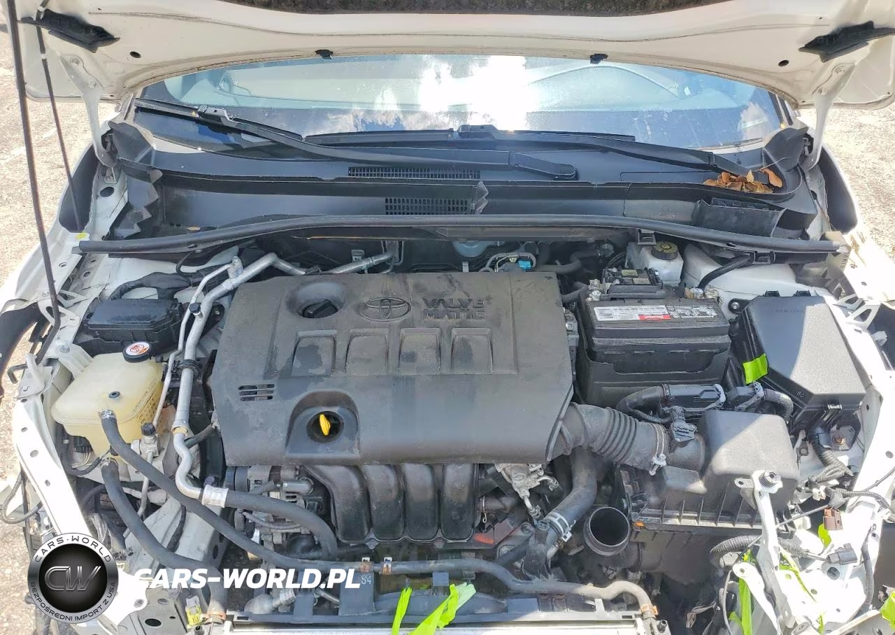 2019 Toyota C-Hr Limited VIN:JTNKHMBX1K1015506 - 11
