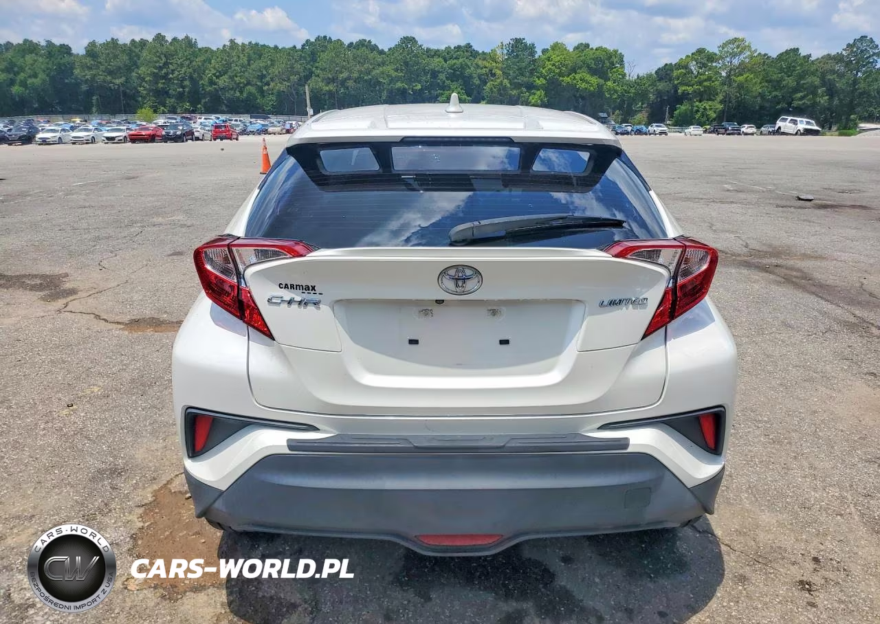 2019 Toyota C-Hr Limited VIN:JTNKHMBX1K1015506 - 6