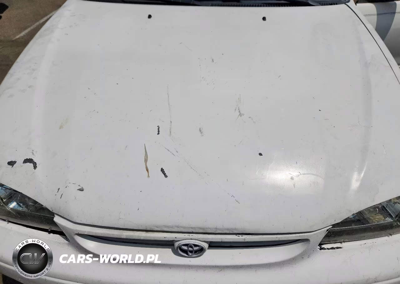 2000 Toyota Corolla Ve VIN:1NXBR12E4YZ399752 - 11