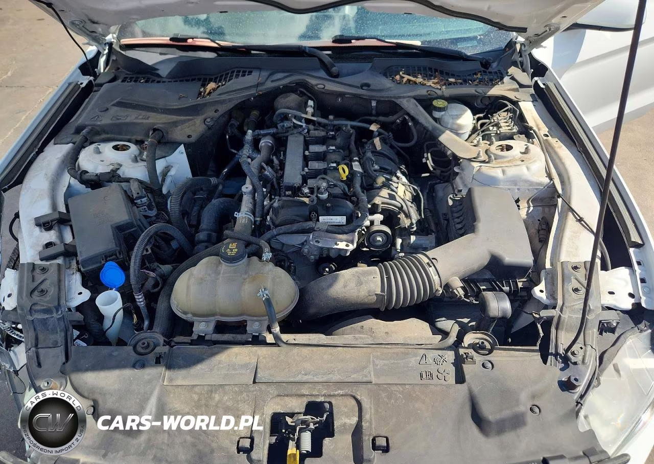 2021 Ford Mustang VIN:1FATP8UH5M5103744 - 11