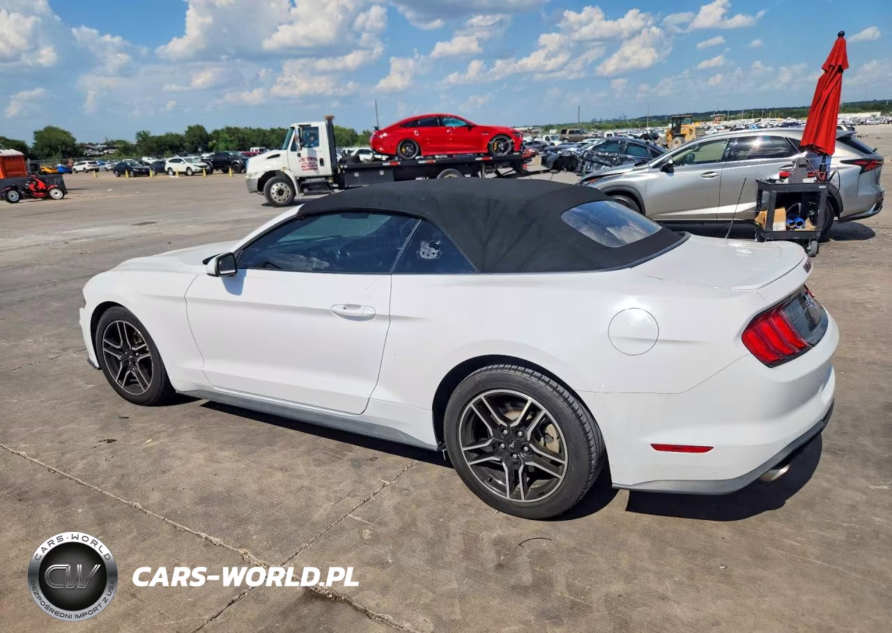 2021 Ford Mustang VIN:1FATP8UH5M5103744 - 2
