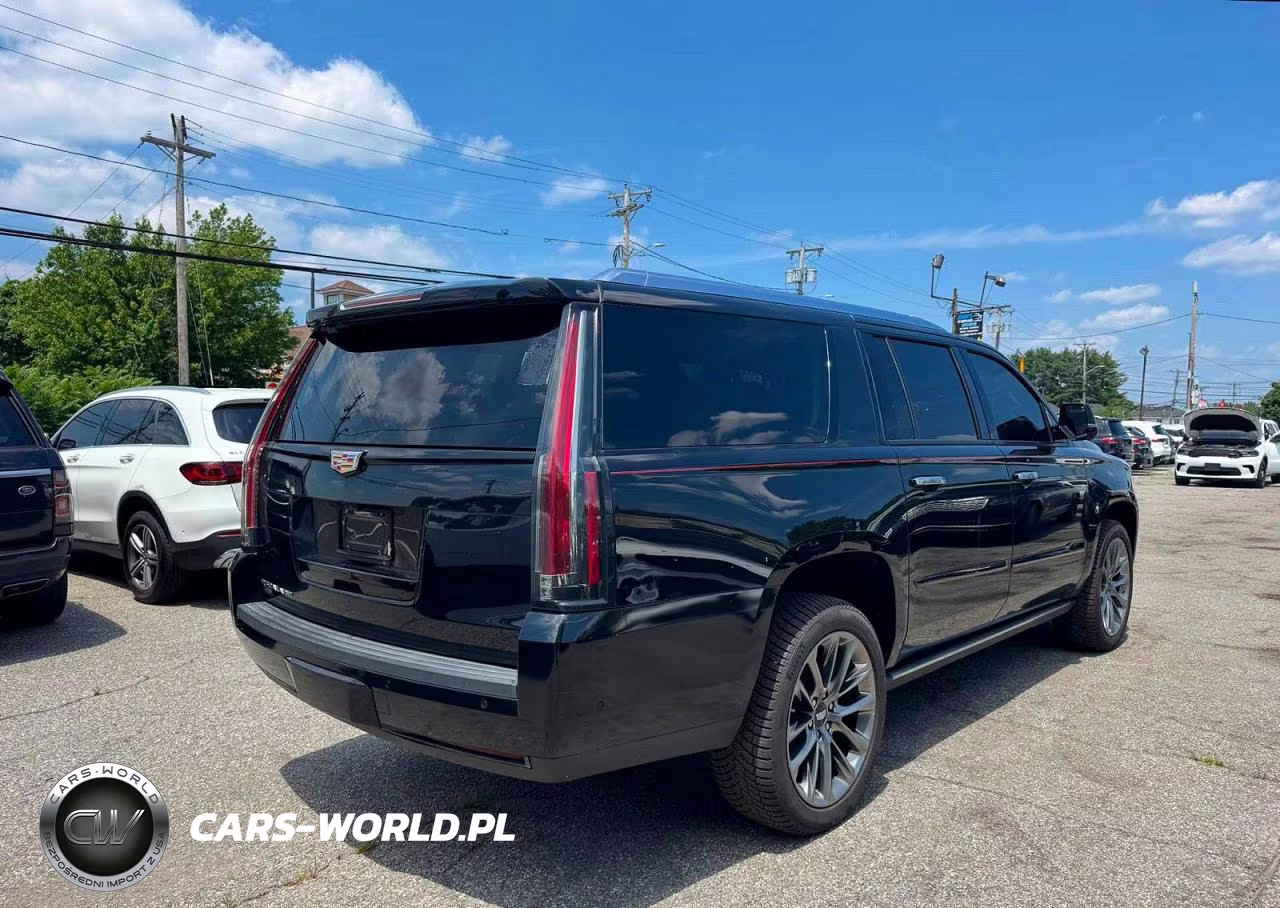 2019 Cadillac Escalade Esv Premium Luxury VIN:1GYS4JKJXKR332853 - 4