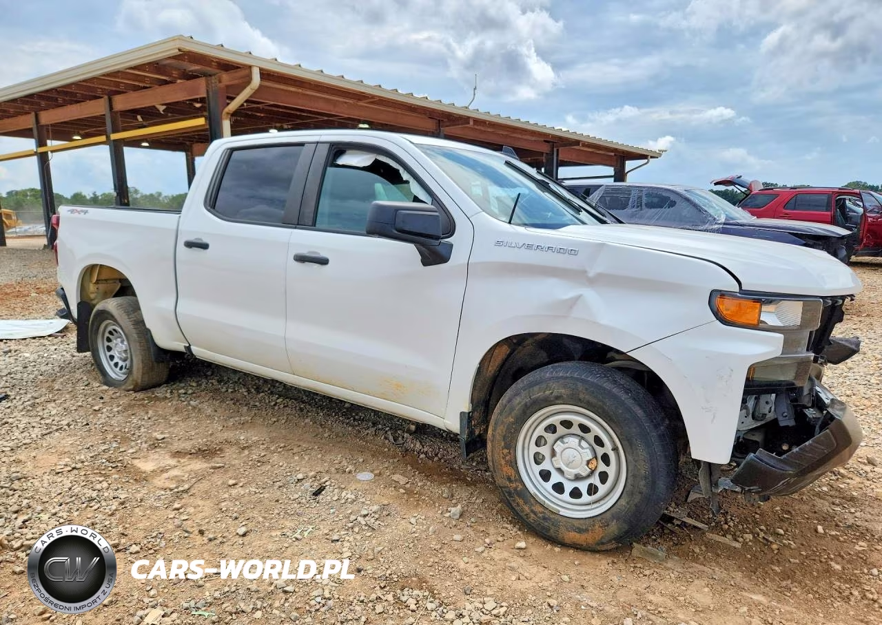 2020 Chevrolet 1500 VIN:3GCPYAEK2LG231196 - 4