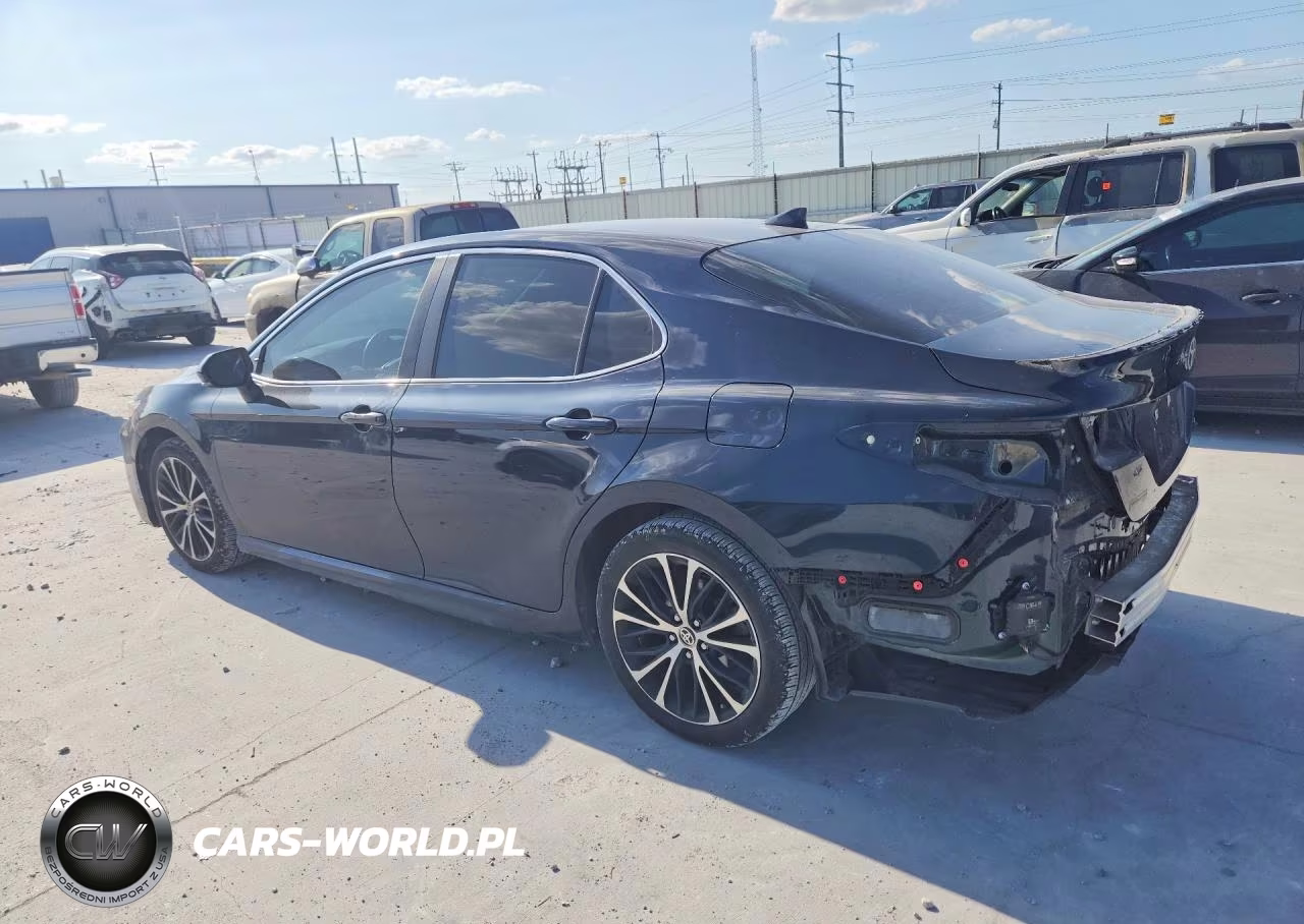 2020 Toyota Camry Se VIN:4T1M11AK1LU384948 - 2