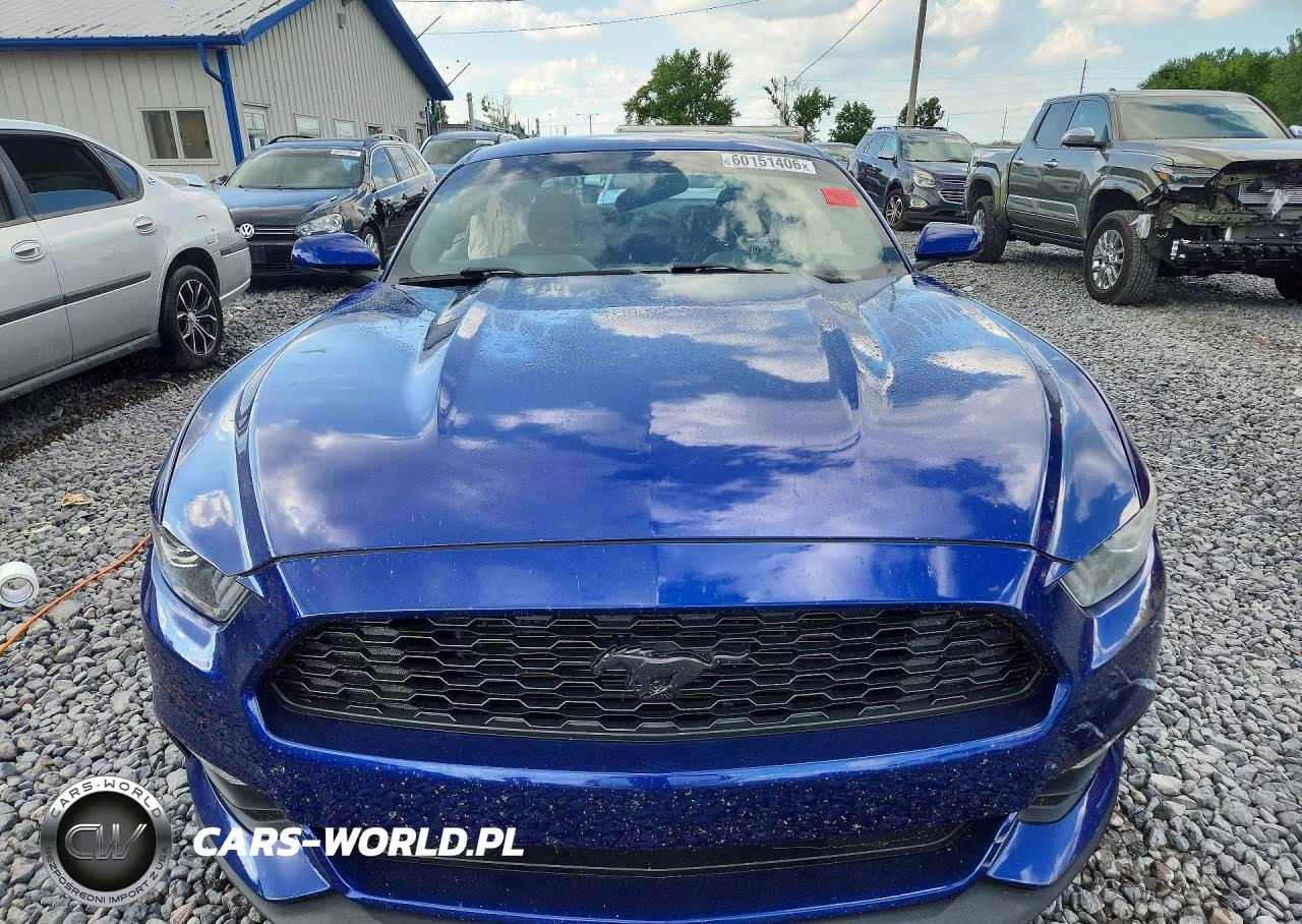 2016 Ford Mustang VIN:1FA6P8AMXG5283631 - 5