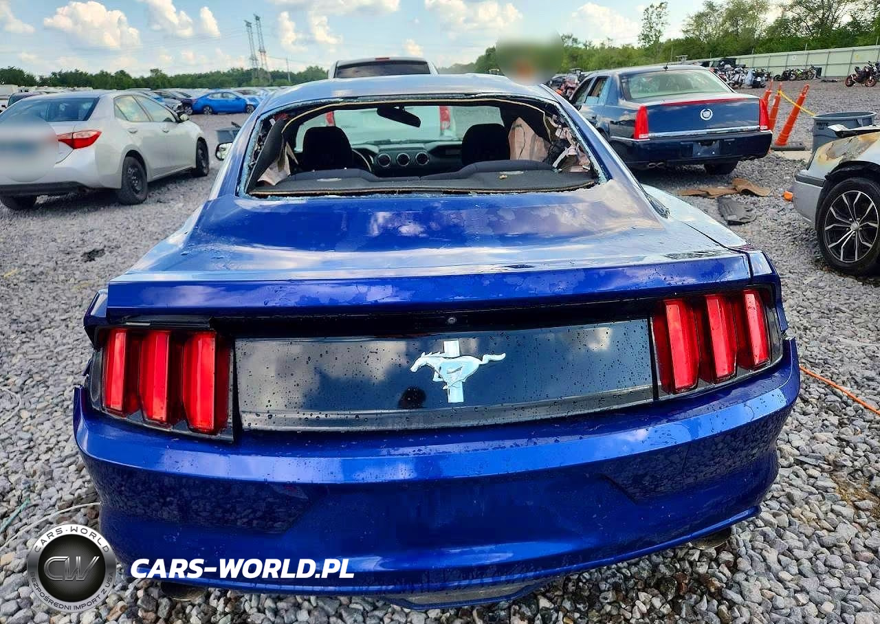2016 Ford Mustang VIN:1FA6P8AMXG5283631 - 6