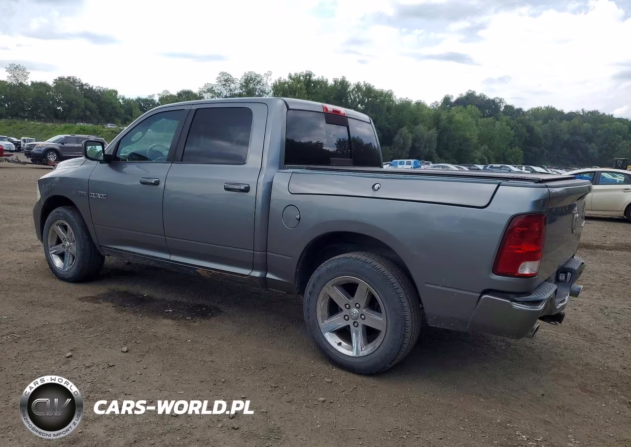 2009 Dodge Ram 1500 VIN:1D3HV13T29J521624 - 2