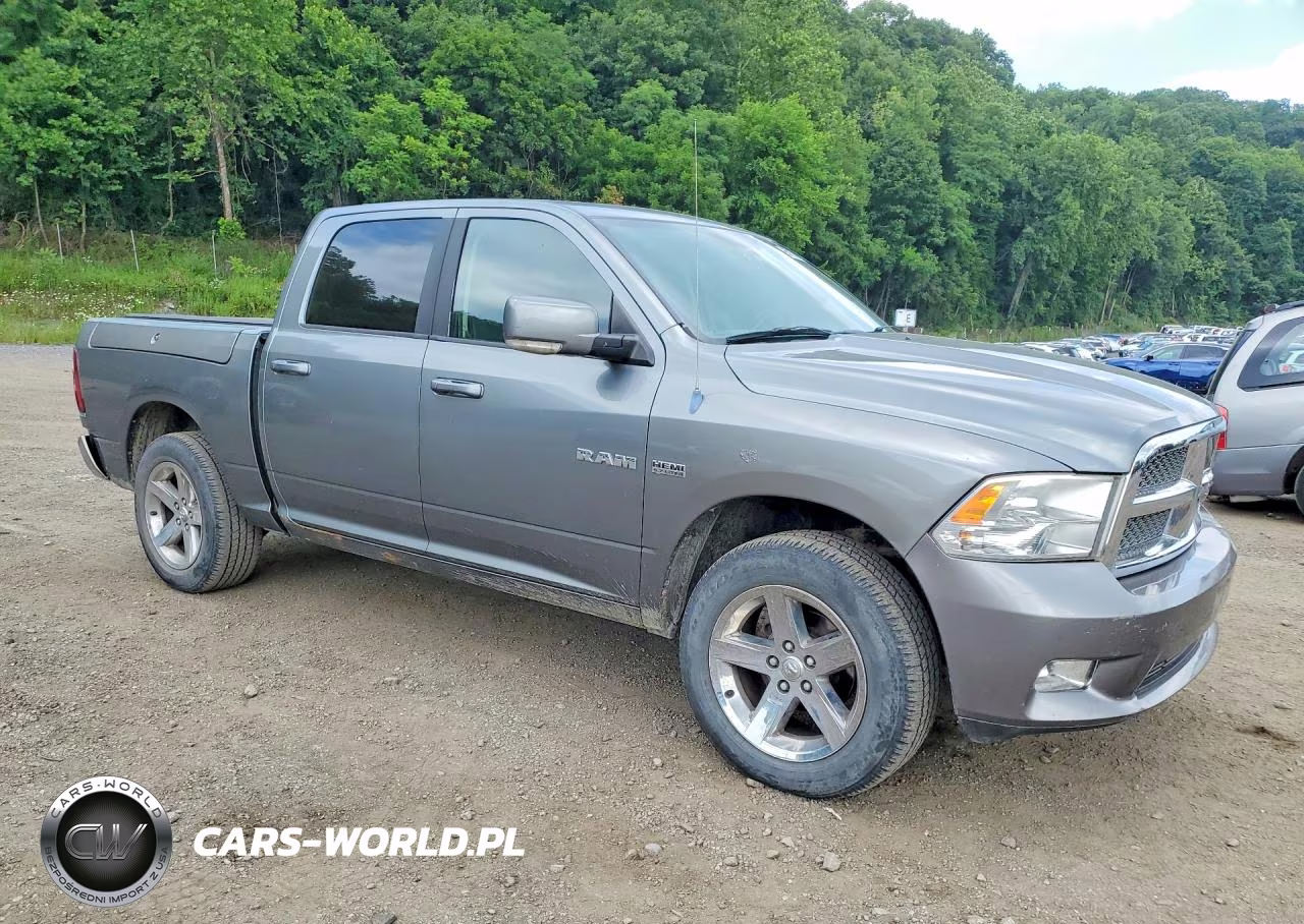 2009 Dodge Ram 1500 VIN:1D3HV13T29J521624 - 4