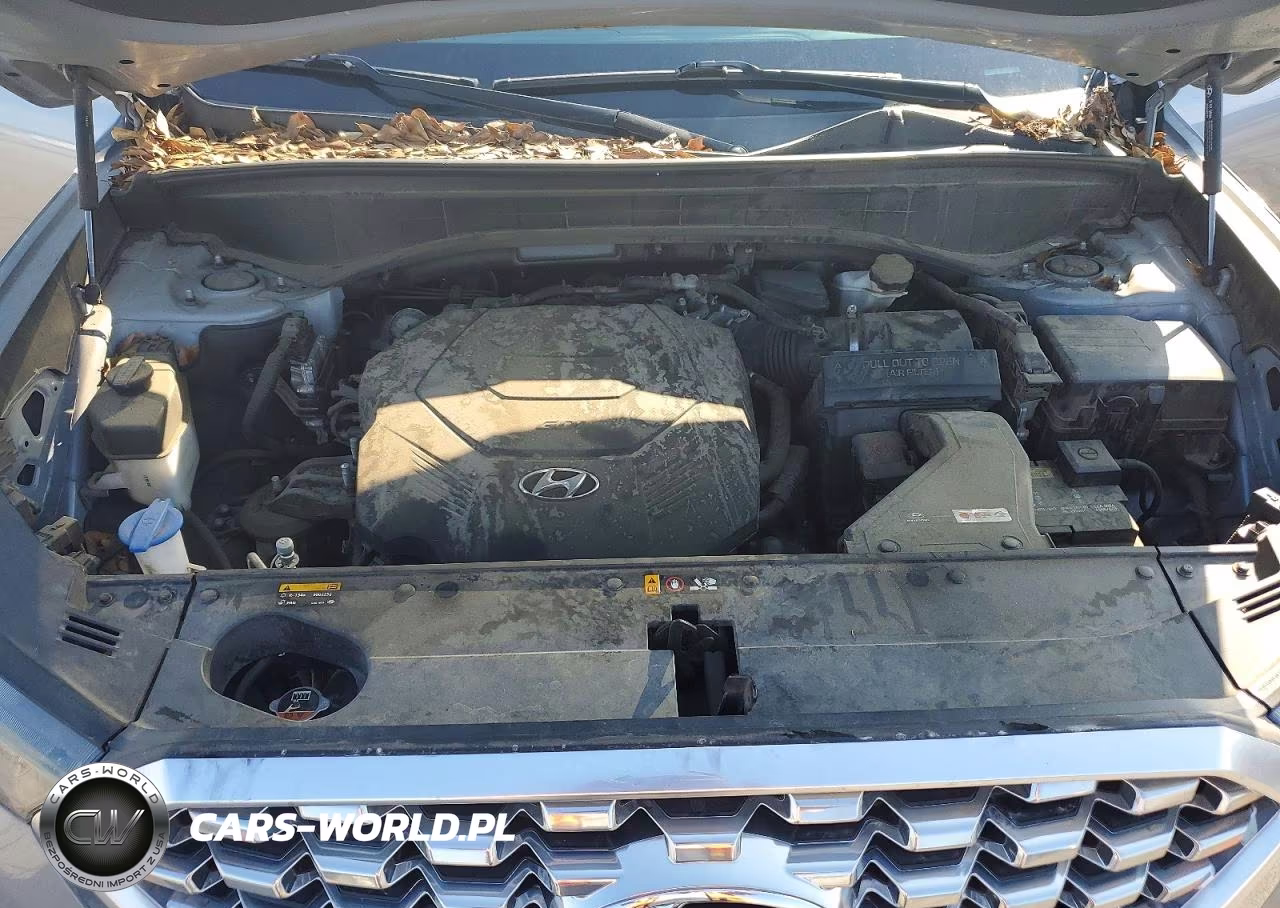 2020 Hyundai Palisade Sel VIN:KM8R3DHE1LU041106 - 12