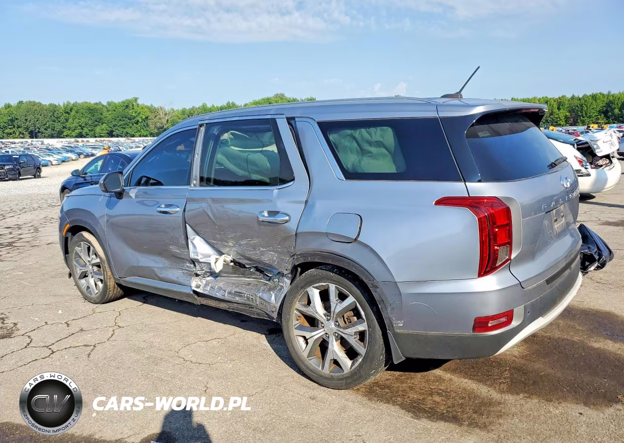 2020 Hyundai Palisade Sel VIN:KM8R3DHE1LU041106 - 2